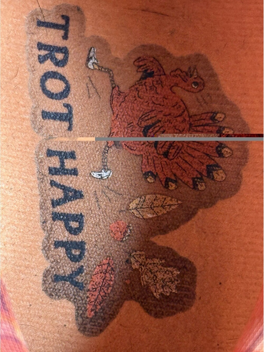 BROOKS GHOST 15 — Limited Edition "Trot Happy" Turkey Print! - Picture 10 of 10